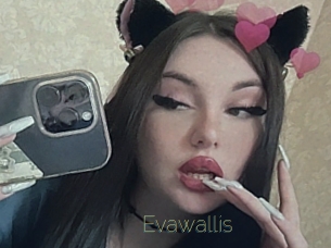 Evawallis