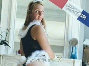 Feline18