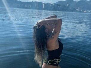 FlorSP Visio Tchats