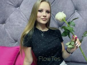 FlowTes Visio Tchats