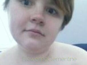 FloweringClementine