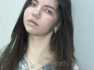 Felicecatts