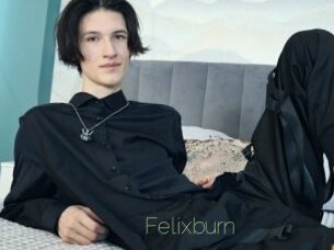 Felixburn