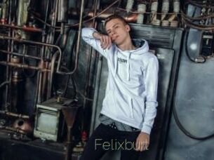 Felixburt