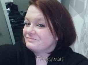 Felixswan