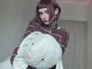 Felixwinter
