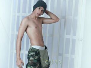 Ferrboy