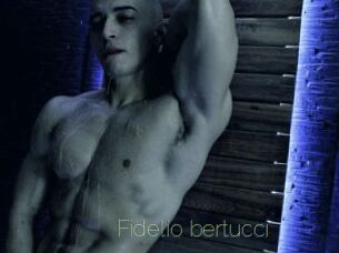 fidelio_bertucci Visio Tchats