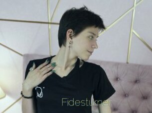 Fidesturner