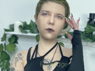 Flairfudge