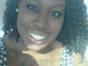 Flower_randle