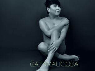 GATAMALICIOSA