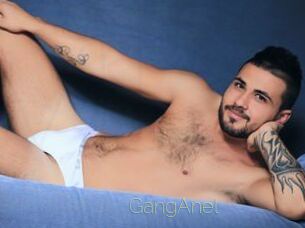 GangAnel