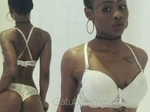 Gatubela_masc Visio Tchats