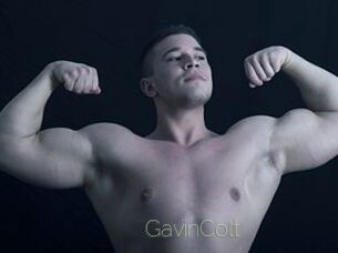 GavinColt