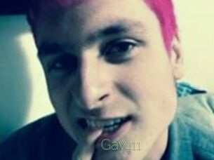 Gay411