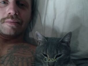 Gbak Visio Tchats