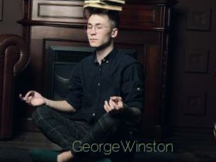 GeorgeWinston Visio Tchats