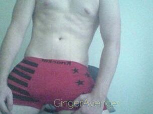 GingerAvenger