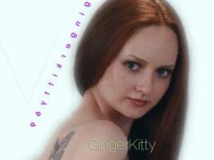 GingerKitty Visio Tchats