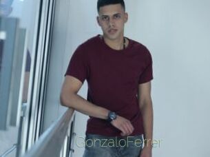 GonzaloFerrer