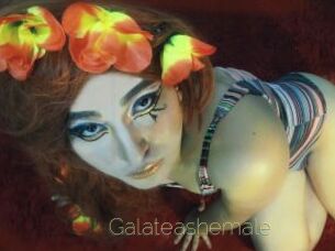 Galateashemale
