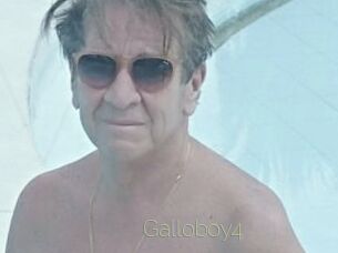 Galloboy4