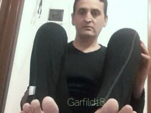 Garfild18
