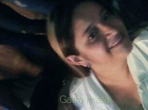 Gatita_mala