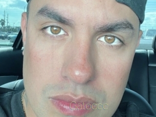 Gatoccc