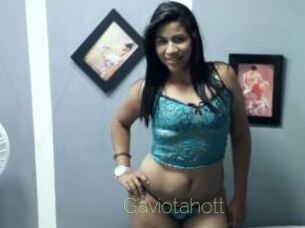 Gaviotahott