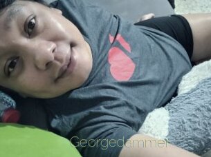 Georgedammer