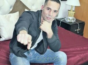 Gigohottall