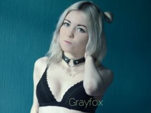 Grayfox