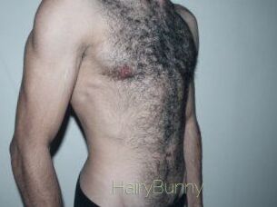 HairyBunny