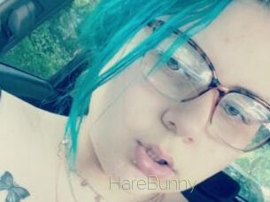 HareBunny