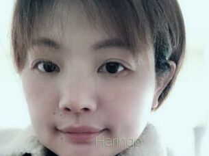 Haringo