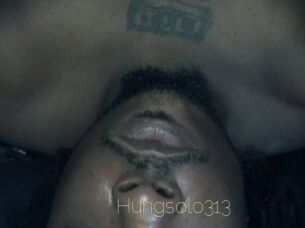 Hungsolo313