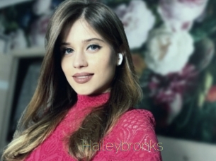 Haileybronks