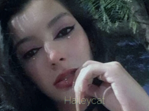 Haileycat