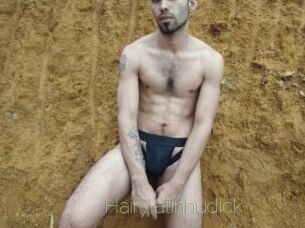 Hairylatinhudick