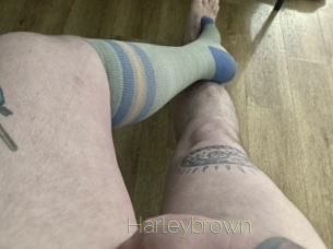 Harleybrown
