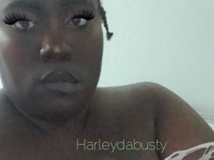 Harleydabusty