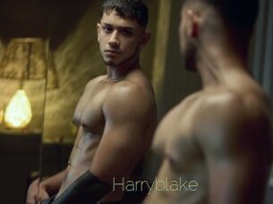 Harryblake
