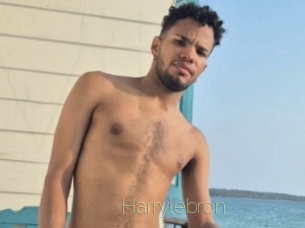 Harrylebron