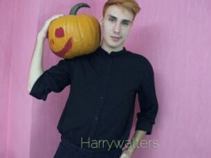 Harrywalters