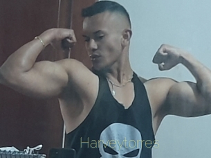 Harveytorres