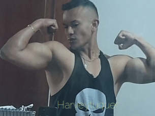 Harveytuquer