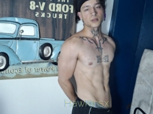 Hawkiinsx