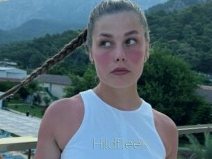 Hildfleek